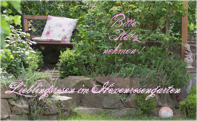 Rosen Hexenrosengarten Rosenseite Rosenliste Rosenfotos Rosenbeschreibungen