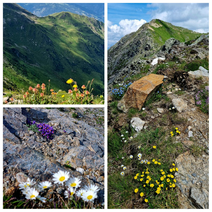 babebi-ontour.com, Hatschn&Haxln, durch ganz Österreich, Karnischer Höhenweg, Silian, Weitwandern, Wandern Dolomiten, Wandern Italien, Grenzwanderung, Panorama, Bergseen, KHW 403, Wandern Kärnten, Wandern Nassfeld, Bergtour, Mehrtagestour