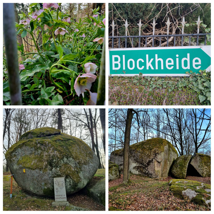 Thayatalweg, Nebelstein, Blockheide, Wanderweg 630, Weitwandern, Waldviertel, mystisch, Gmünd, Heidenreichstein, Hardegg, Burgen, Ruinen,