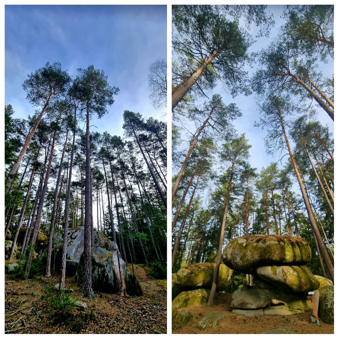 Thayatalweg, Nebelstein, Blockheide, Wanderweg 630, Weitwandern, Waldviertel, mystisch, Gmünd, Heidenreichstein, Hardegg, Burgen, Ruinen,