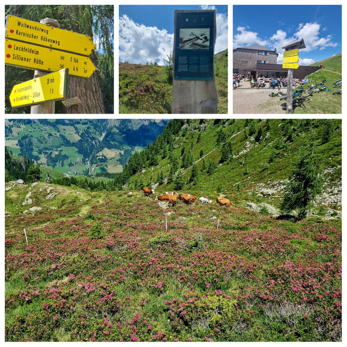 babebi-ontour.com, Hatschn&Haxln, durch ganz Österreich, Karnischer Höhenweg, Silian, Weitwandern, Wandern Dolomiten, Wandern Italien, Grenzwanderung, Panorama, Bergseen, KHW 403, Wandern Kärnten, Wandern Nassfeld, Bergtour, Mehrtagestour