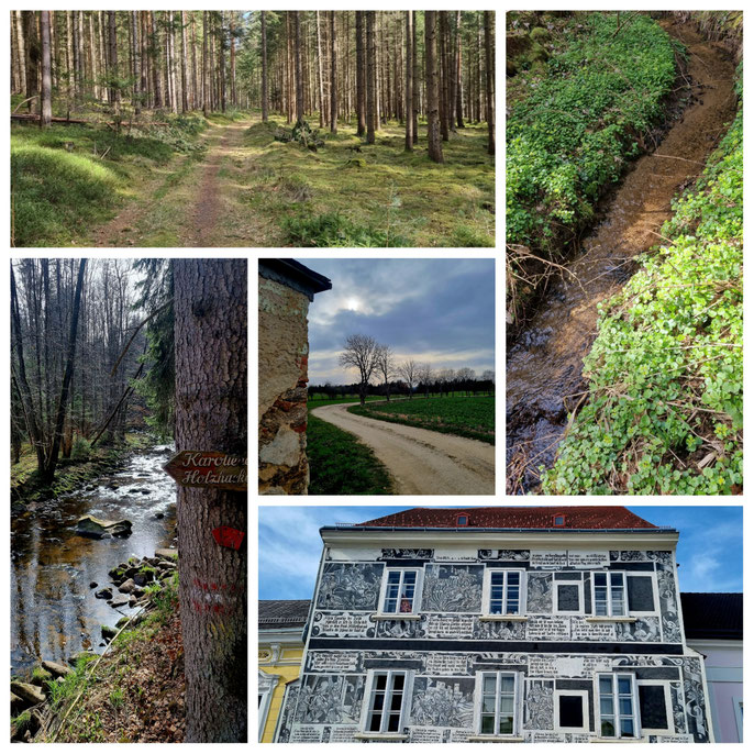 Thayatalweg, Nebelstein, Blockheide, Wanderweg 630, Weitwandern, Waldviertel, mystisch, Gmünd, Heidenreichstein, Hardegg, Burgen, Ruinen, Wultschau, Weitra