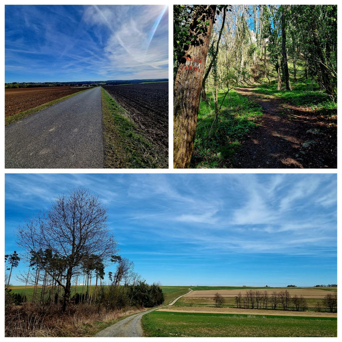 Thayatalweg, Nebelstein, Blockheide, Wanderweg 630, Weitwandern, Waldviertel, mystisch, Gmünd, Heidenreichstein, Hardegg, Burgen, Ruinen,