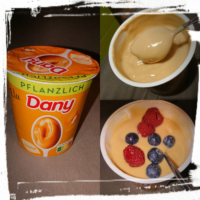 Dany pflanzlich Karamell Pudding - zuckerwelt im test