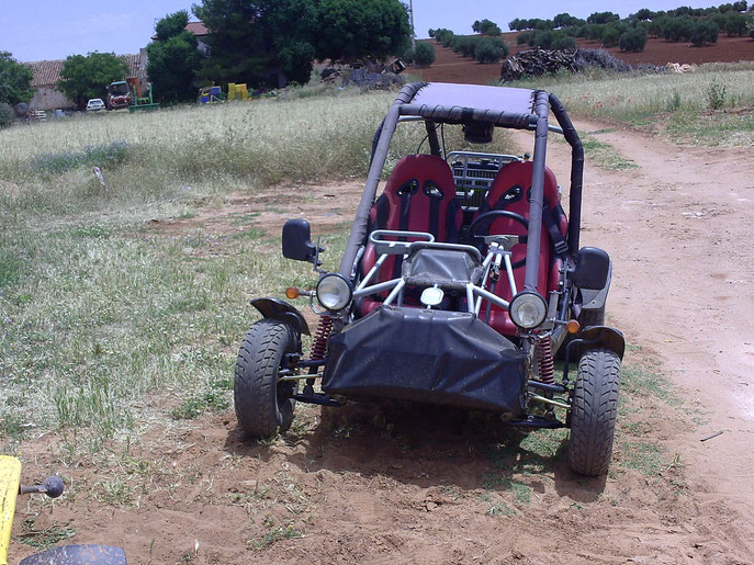 Mi buggie todo-camino