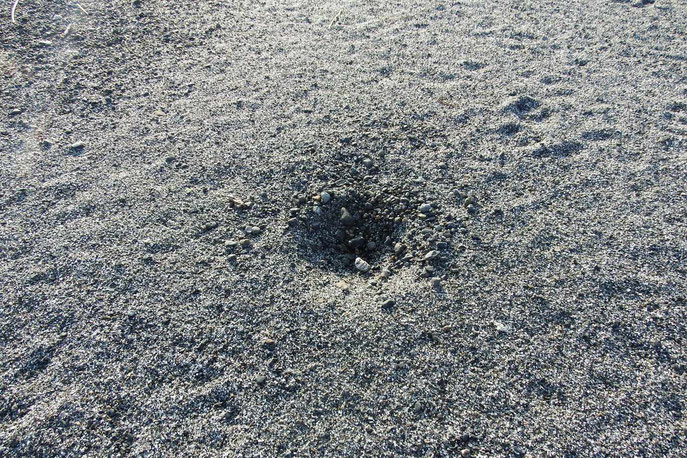 浅く砂を掘った巣（外径20ｃｍほど）。周りには小動物の足跡？
