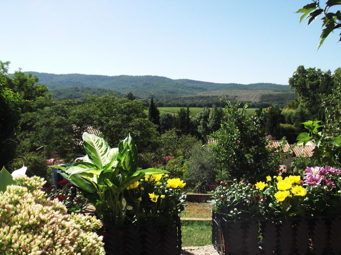 Vue depuis la terrasse Est. 
