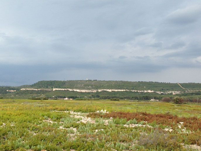 Plateau de La Croix et au fond plateau de la Tour Carrée