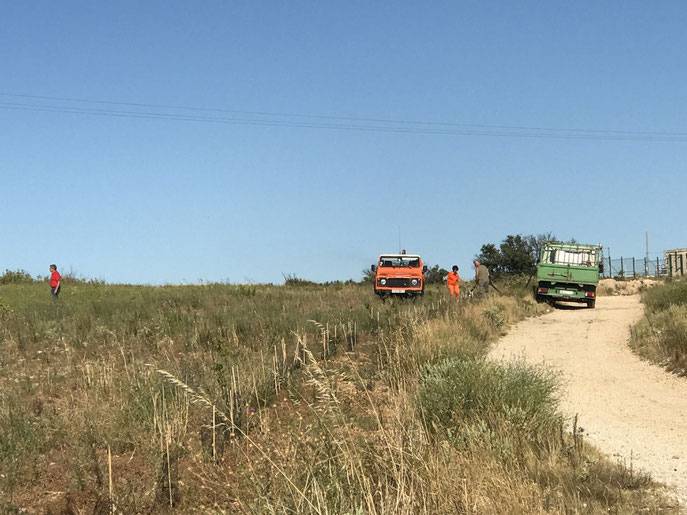 Arrosage des plantations avec le CCF sur le plateau de la Croix juillet 2020