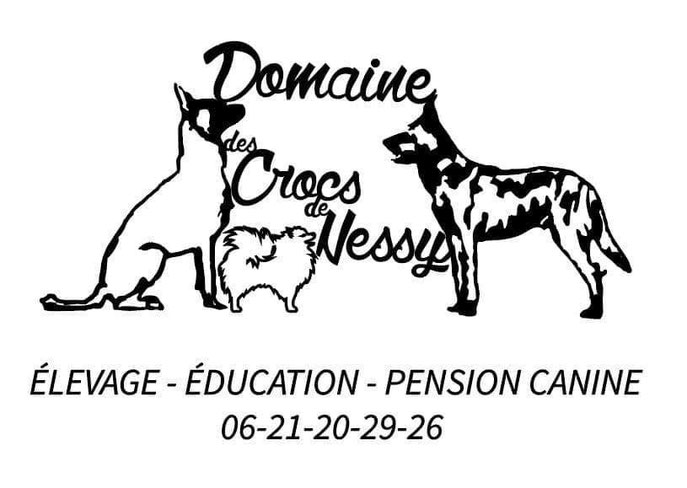 Pension éducation élevage Chien Savoie Pension Elevage