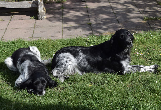 Elisa und Frida