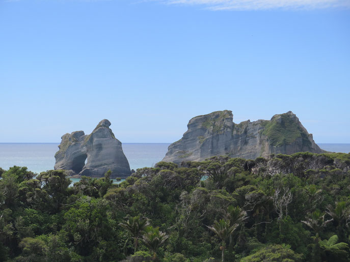 Hinter dem Wald verbirgt sich die Wharariki Beach