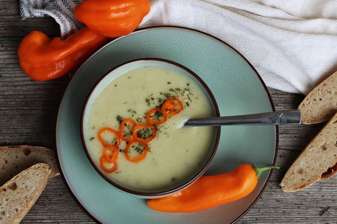 schwarze Rettichsuppe