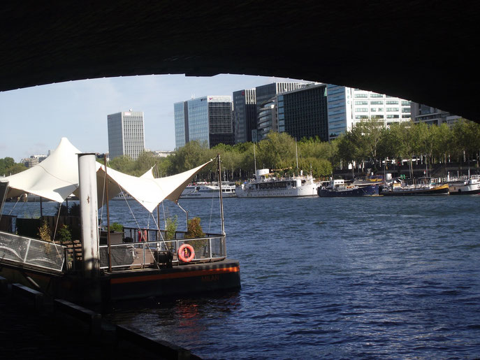 Paris. La Seine sous le pont de Bercy.