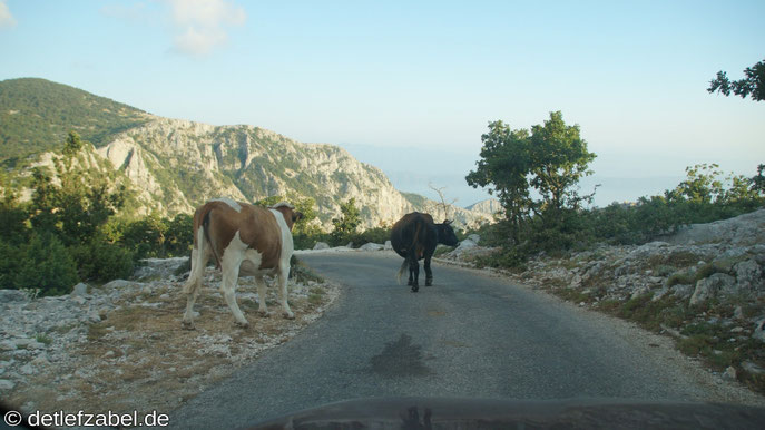 Biokovo National Park