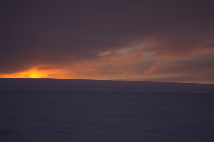 S'morgens vroeg tegen half 10 komt de zon op, dag2, richting Thingvellir
