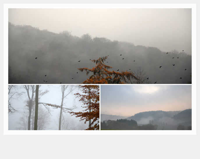 Une page...       Novembre