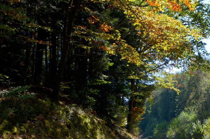 Sur la route des mille étangs - Franche Comté Septembre 2018