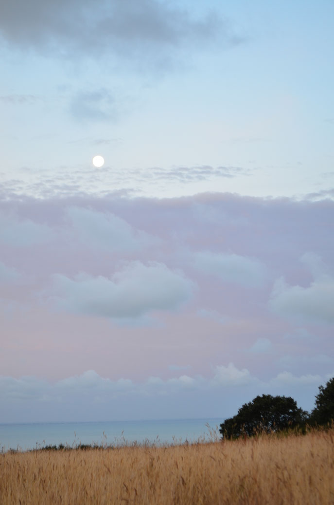 Pleine lune en Baie du Mont St Michel - Janvier 2016