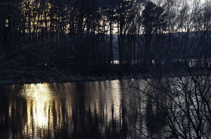 Lac de Paimpont - Brocéliande 2015