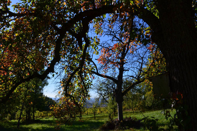 Sur les hauteurs - Région des Trois Frontières - Septembre 2017