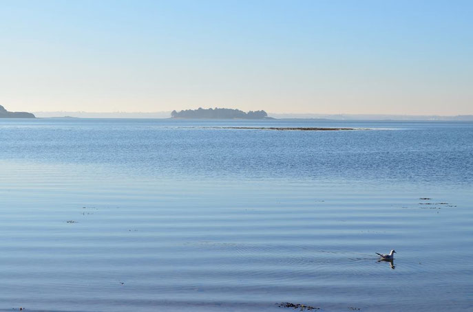 Golfe du Morbihan - Octobre 2016