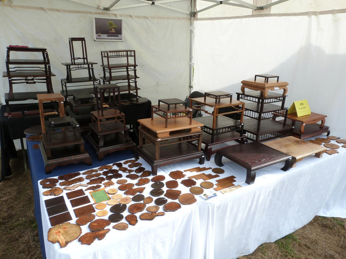 Mon stand à l'exposition de SENART 2014