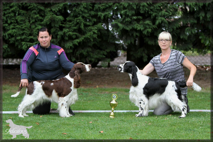 Felicitous Droplet "Peaches" BOS "Klubschau-Siegerin" & Dexbenella Sirius Black "Milo" BOB "Klubschau-Sieger"