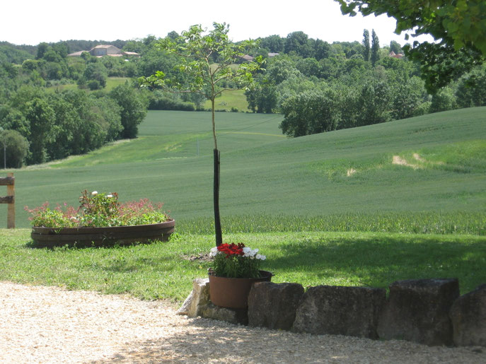 Paysage de la campagne autour du gîte