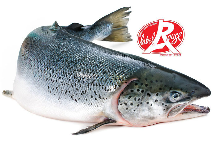 Label Rouge Lachs Label Rouge Lachs