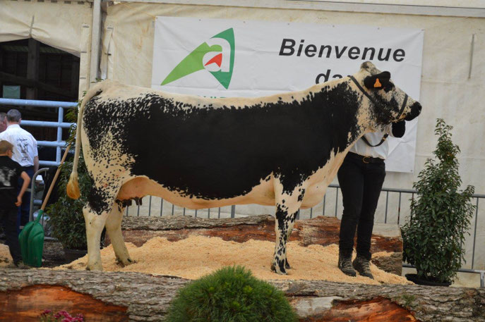 FRIDA 2015 concours Gunsbach