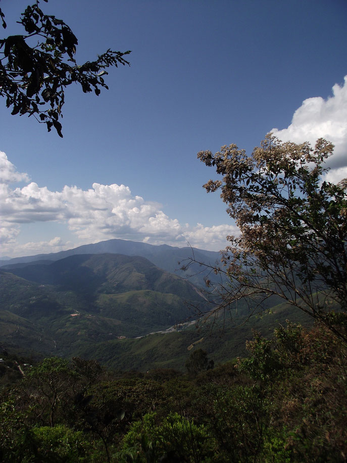 Mountains, Coiroco, Yungas, Bolivia