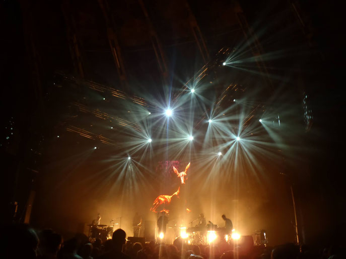 Junip in the Gashouder.