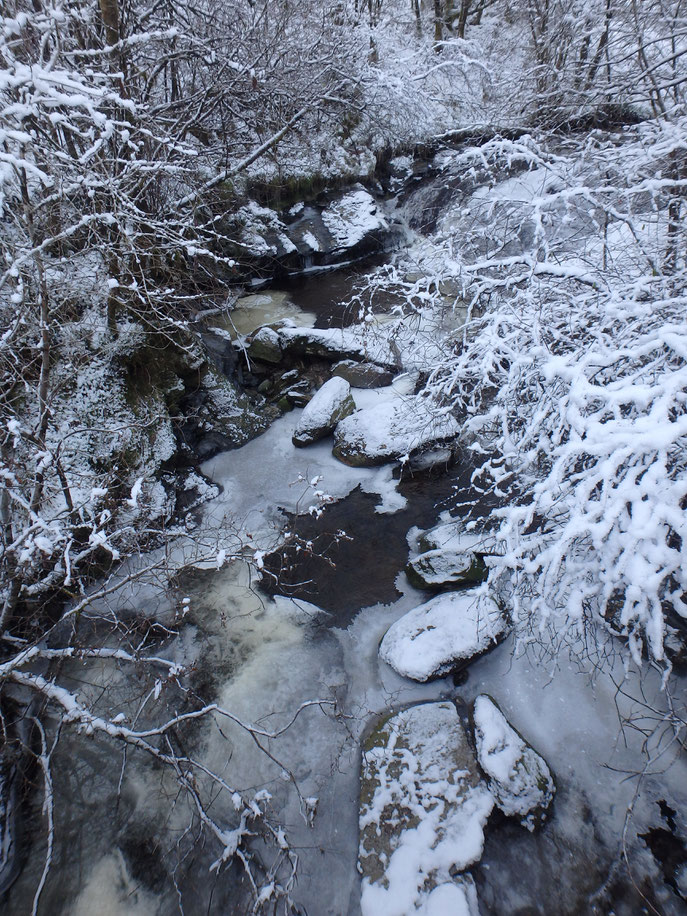 Frozen stream, West Highland Way in December
