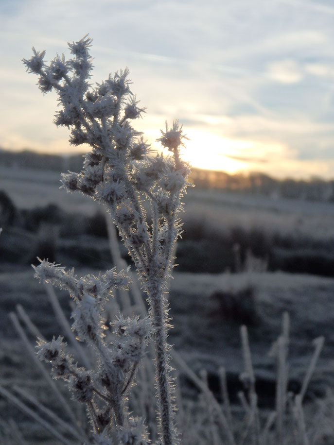 Frost over Dartmoor, Devon, England
