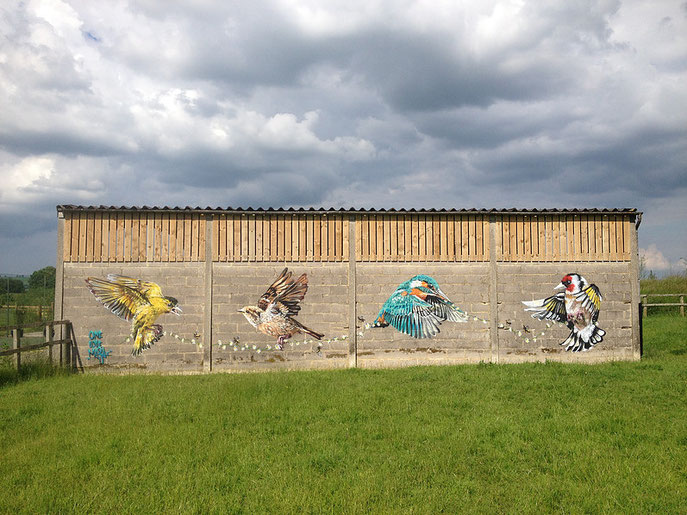 street art, Louis Masai, Siskin House Sparrow Kingfisher Goldfinch 