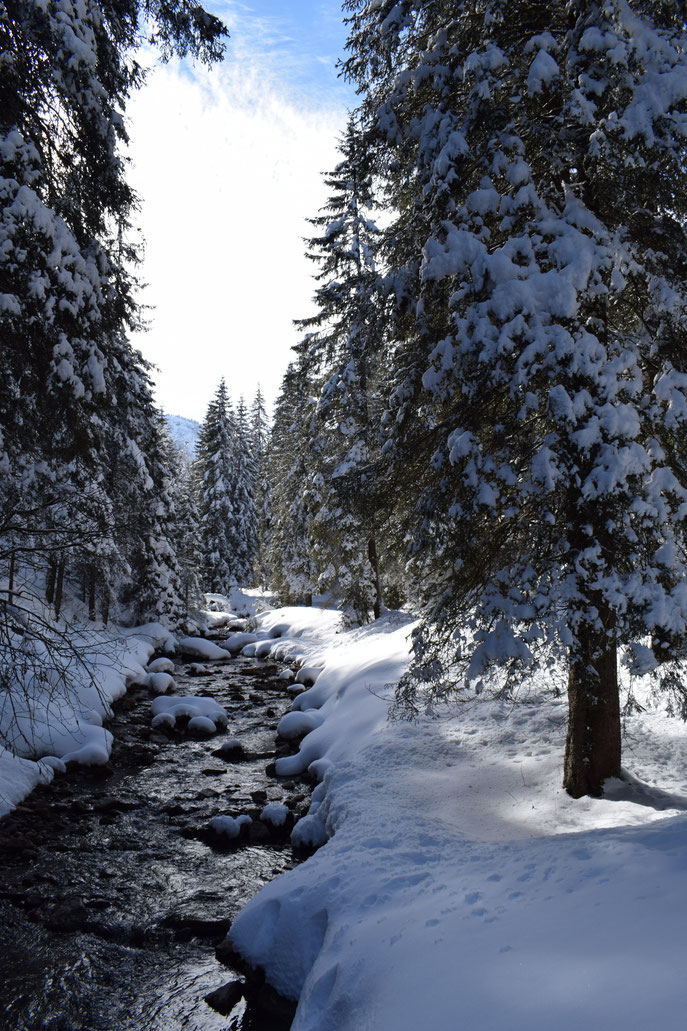 river walk, winter snow, Morgins, Switzerland