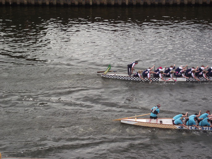 Dragon boat racing, Exeter Quay, Devon, England