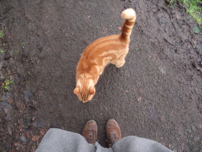 A friend I made at the park this Winter.