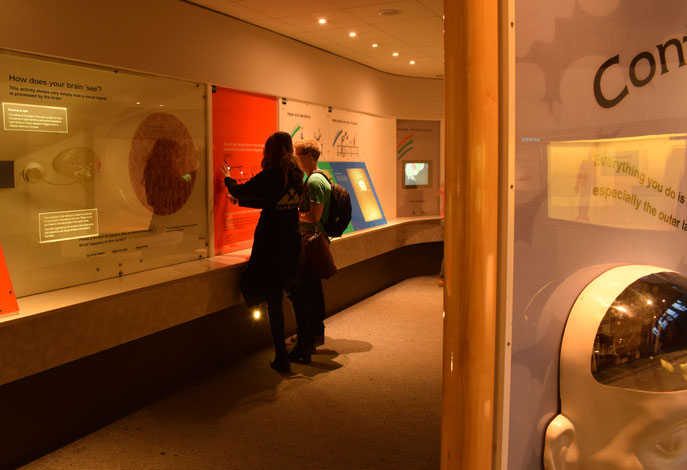 Natural History Museum, London, Human Biology