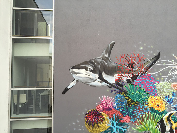 street art, Louis Masai, Blacktip Reef Shark