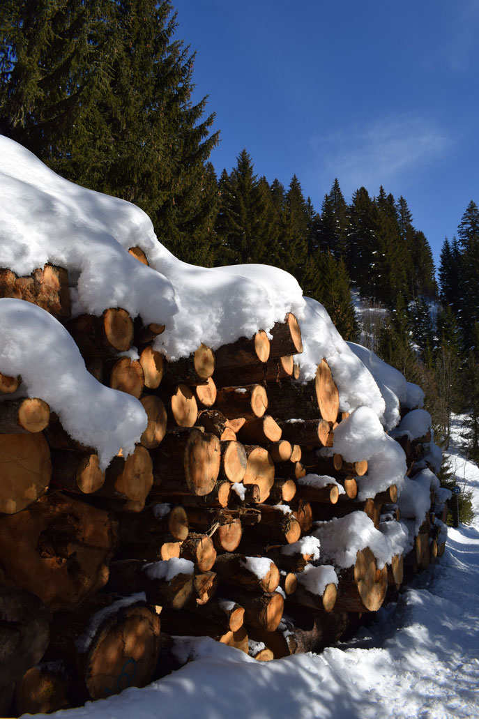 Winter snow, Morgins, Switzerland 