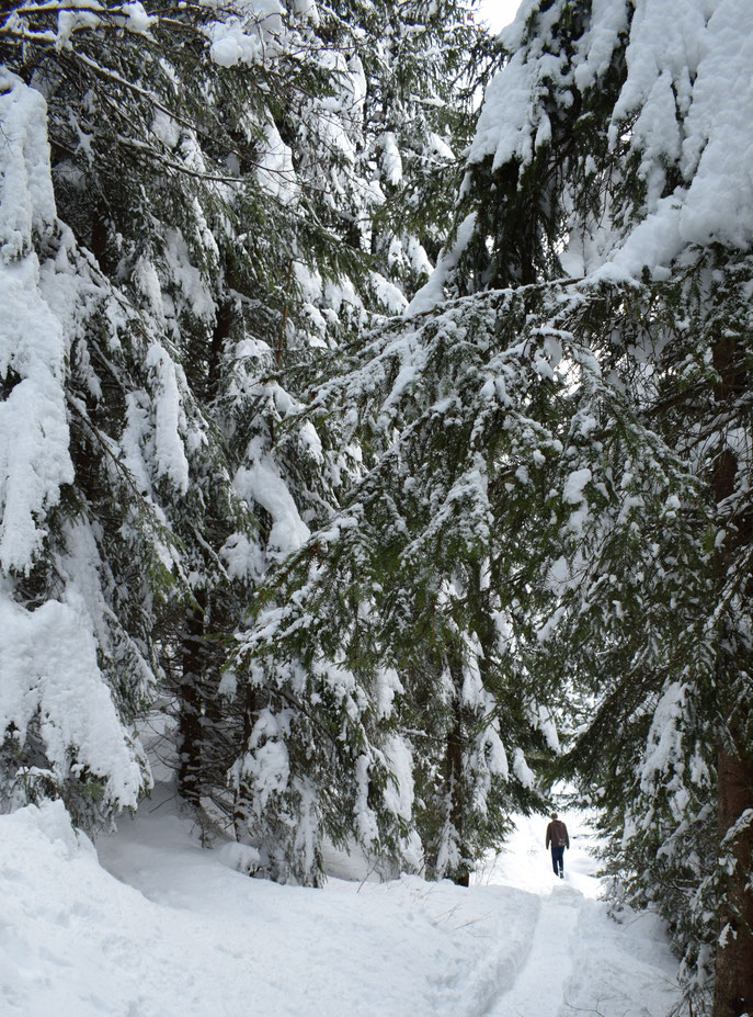 Winter snow, Morgins, Switzerland 