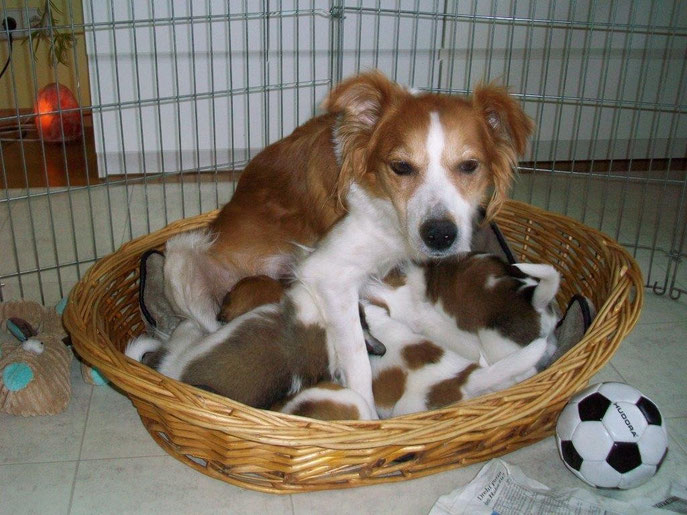 Wer ist wer? Mama erträgt`s geduldig.