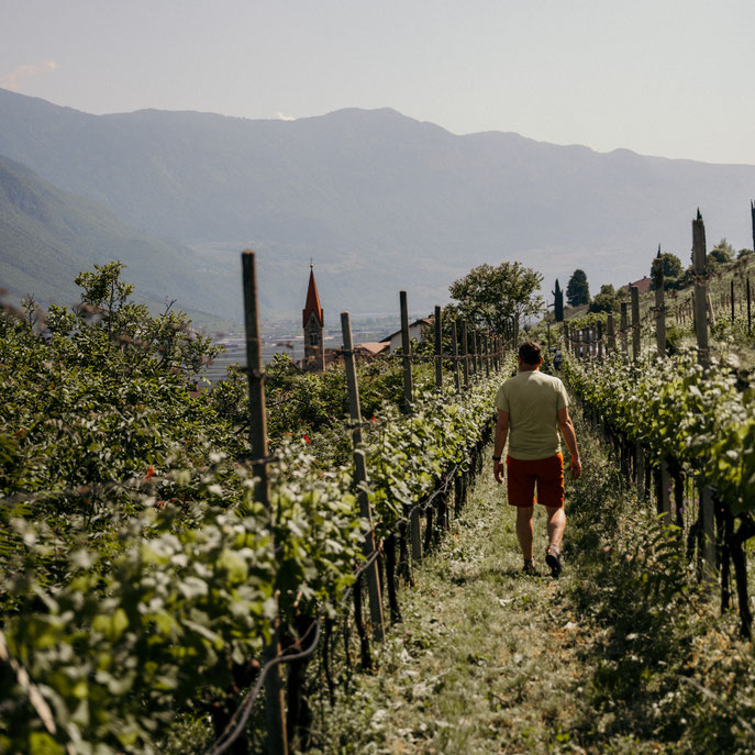  GEWÜRZTRAMINERWEG Wandern & Wein in Tramin, Südtirol Genussvolle Höhenmeter durch die Heimat einer der aromatischsten Rebsorten Südtirols. Der Gewürztraminerweg verbindet Weinwissen mit Weitblick.