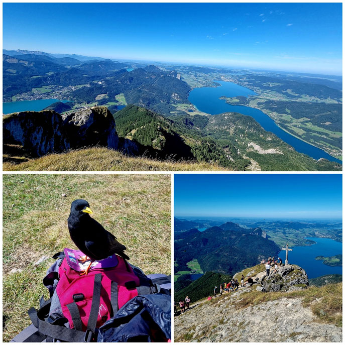  babebi-ontour.com, Hatschn&Haxln, durch ganz Österreich, Wolfgangsee, Schafberg, Schafbergbahn, Schafbergspitze, Himmelspforte, Panoramablick, Seenwanderung, Purtschellersteig, Zahnradbahn