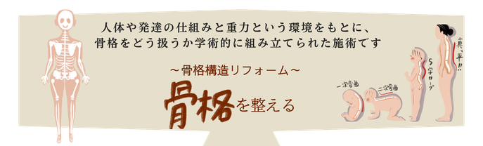 人体や発達の仕組みと重力という環境をもとに、骨格をどう扱うか学術的に組み立てられた施術です。骨格構造リフォーム　骨格を整える