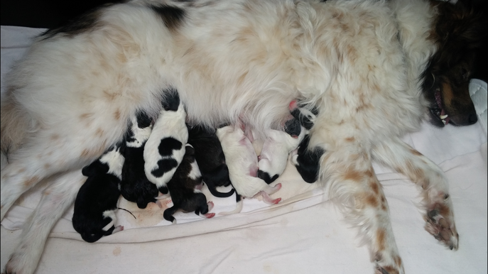 Alle finden Mama´s Milch einfach klasse!