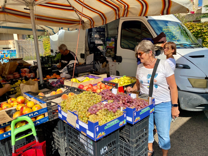 Marktstand mit breitem Angebot an Früchten und Gemüse 