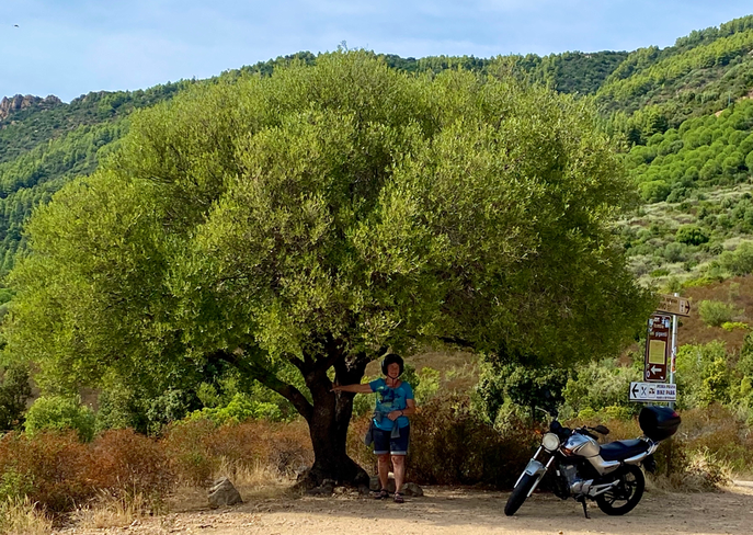 Mit dem Motorrad unterwegs im Supramonte